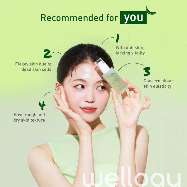 Wellogy Korean Vitamin C Serum with Niacinamide | Dark Spot Corrector & Vegan Moisturizer | Mediagate UAE & KSA