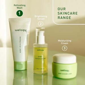 Wellogy Korean Face Wash with Salicylic Acid | Gentle Cleanser for Sensitive Skin | Mediagate UAE & KSA