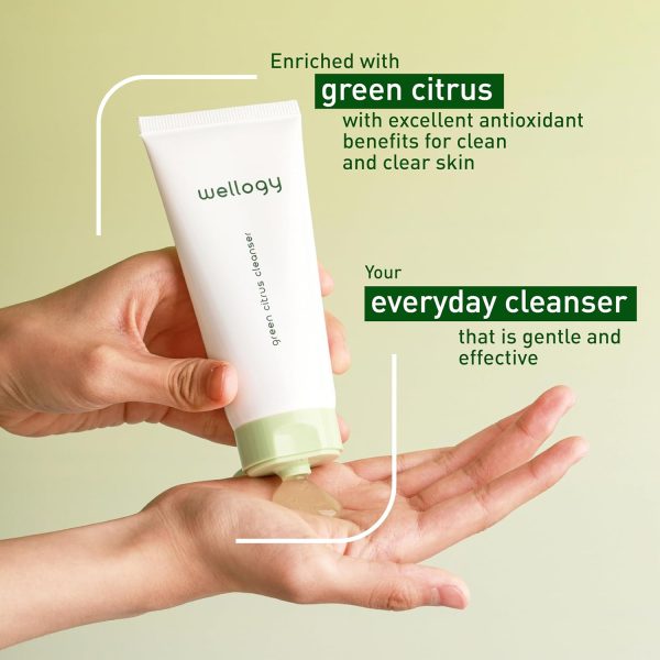 Wellogy Korean Face Wash with Salicylic Acid | Gentle Cleanser for Sensitive Skin | Mediagate UAE & KSA