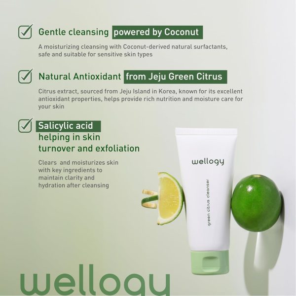 Wellogy Korean Face Wash with Salicylic Acid | Gentle Cleanser for Sensitive Skin | Mediagate UAE & KSA