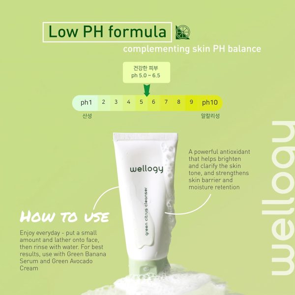 Wellogy Korean Face Wash with Salicylic Acid | Gentle Cleanser for Sensitive Skin | Mediagate UAE & KSA