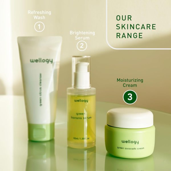 Wellogy Korean Niacinamide Moisturizer with Vitamin C & Avocado | Lightweight Hydrating Face Cream | Mediagate UAE & KSA