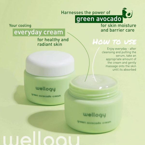 Wellogy Korean Niacinamide Moisturizer with Vitamin C & Avocado | Lightweight Hydrating Face Cream | Mediagate UAE & KSA