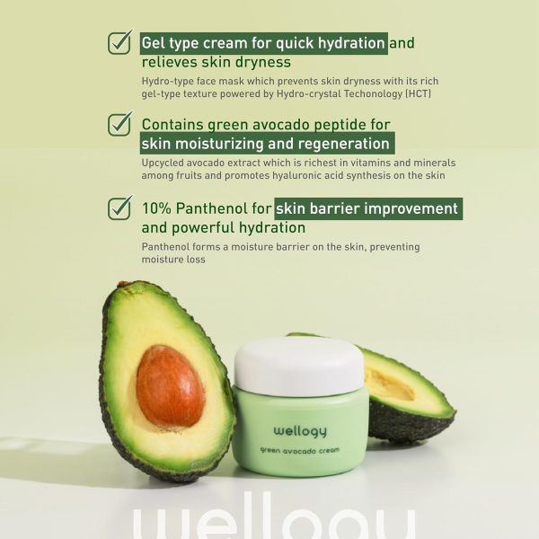 Wellogy Korean Niacinamide Moisturizer with Vitamin C & Avocado | Lightweight Hydrating Face Cream | Mediagate UAE & KSA