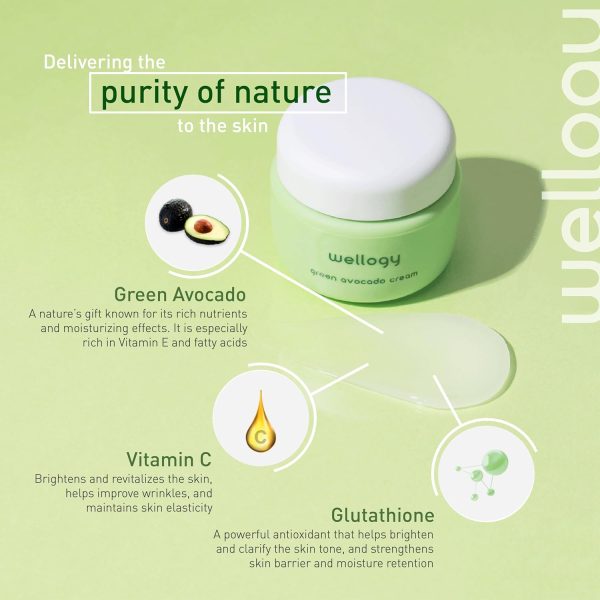 Wellogy Korean Niacinamide Moisturizer with Vitamin C & Avocado | Lightweight Hydrating Face Cream | Mediagate UAE & KSA