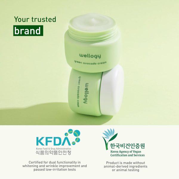 Wellogy Korean Niacinamide Moisturizer with Vitamin C & Avocado | Lightweight Hydrating Face Cream | Mediagate UAE & KSA